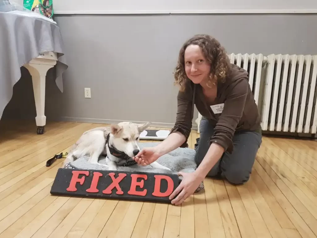 Repair woman dog cafe fixed sign